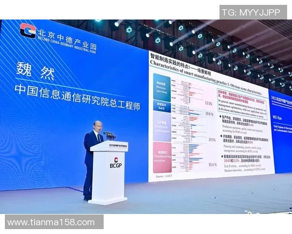 上海排球队选拔赛特别报道：探索转型之路与未来发展新方向