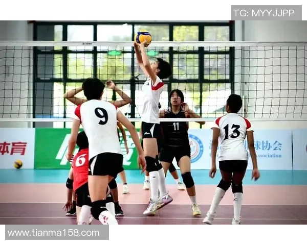 深入分析上海排球队的控制打法及其战术优势与应用